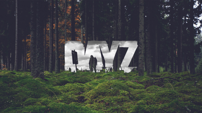 DayZ